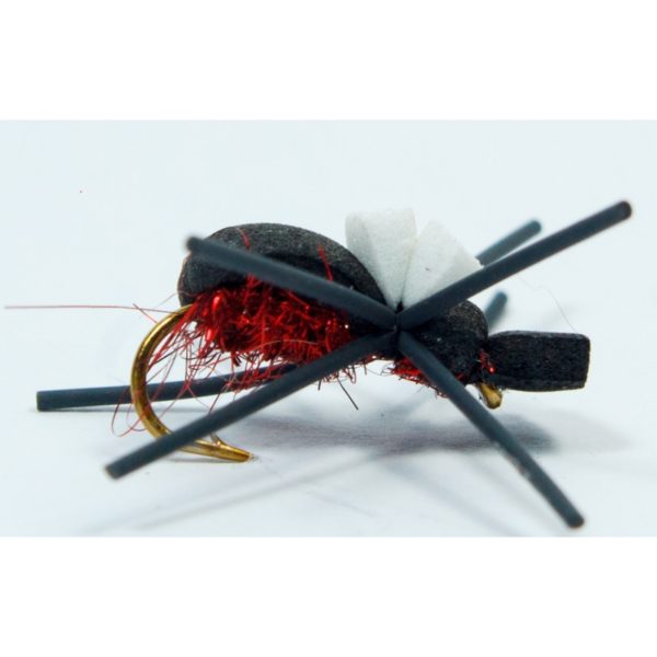 bank-beetle