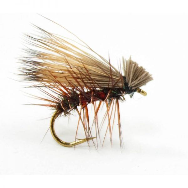 orange-wulff (1)